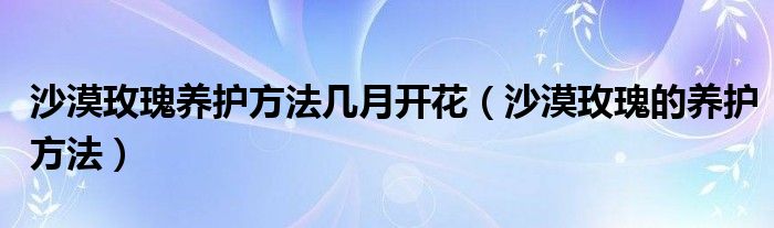 沙漠玫瑰养护方法几月开花（沙漠玫瑰的养护方法）