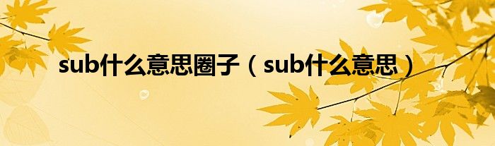 sub什么意思圈子（sub什么意思）