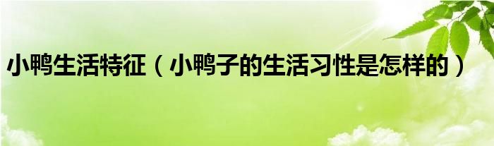 小鸭生活特征（小鸭子的生活习性是怎样的）