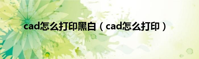 cad怎么打印黑白（cad怎么打印）