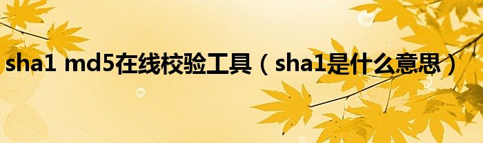 sha1 md5在线校验工具（sha1是什么意思）