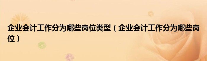 企业会计工作分为哪些岗位类型（企业会计工作分为哪些岗位）