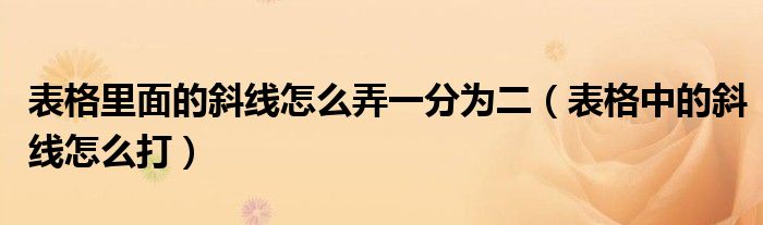 表格里面的斜线怎么弄一分为二（表格中的斜线怎么打）