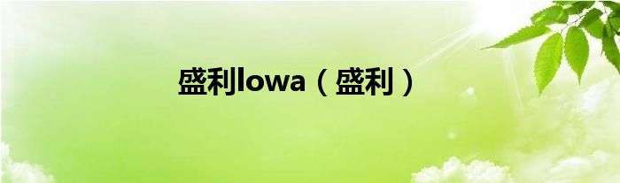 盛利lowa（盛利）