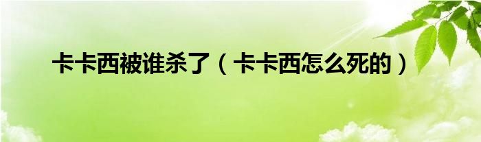 卡卡西被谁杀了（卡卡西怎么死的）