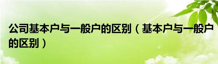 公司基本户与一般户的区别（基本户与一般户的区别）