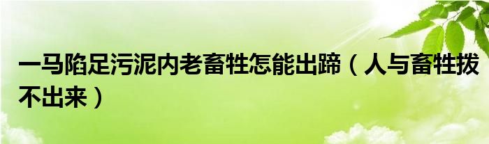 一马陷足污泥内老畜牲怎能出蹄（人与畜牲拨不出来）