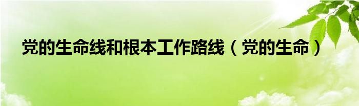 党的生命线和根本工作路线（党的生命）