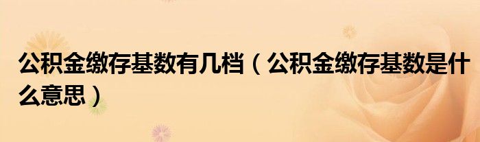 公积金缴存基数有几档（公积金缴存基数是什么意思）