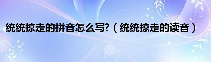 统统掠走的拼音怎么写?（统统掠走的读音）