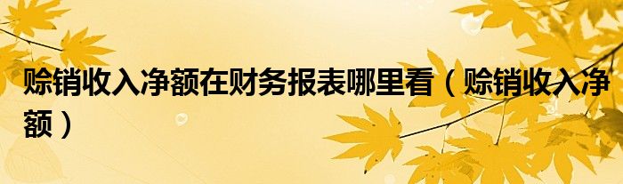 赊销收入净额在财务报表哪里看（赊销收入净额）