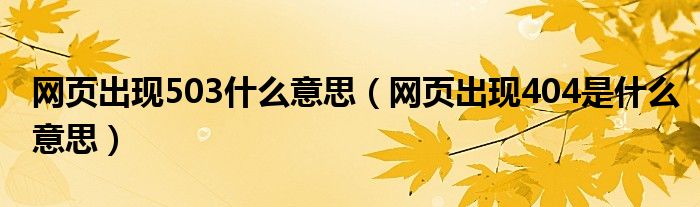 网页出现503什么意思（网页出现404是什么意思）