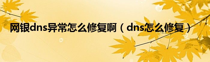 网银dns异常怎么修复啊（dns怎么修复）