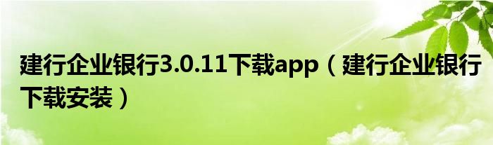 建行企业银行3.0.11下载app（建行企业银行下载安装）