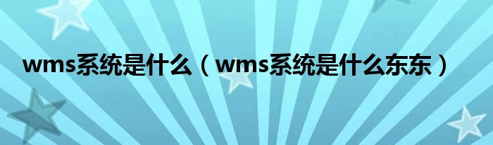 wms系统是什么（wms系统是什么东东）