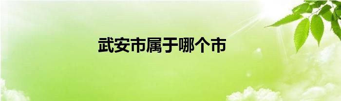 武安市属于哪个市