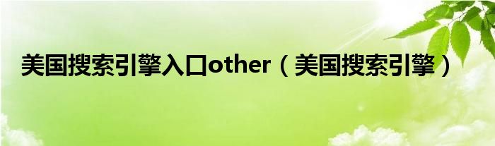 美国搜索引擎入口other（美国搜索引擎）