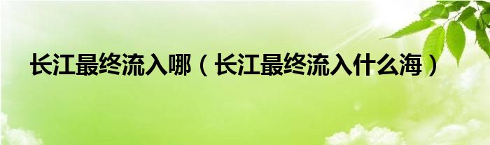 长江最终流入哪（长江最终流入什么海）