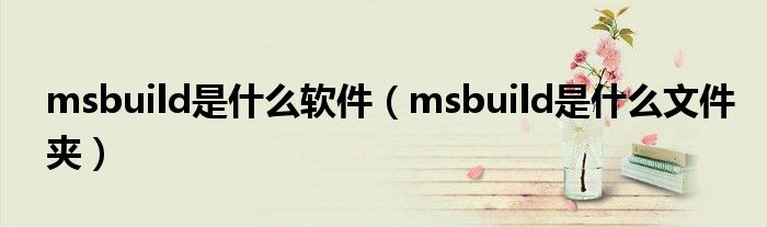 msbuild是什么软件（msbuild是什么文件夹）