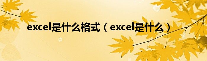 excel是什么格式（excel是什么）