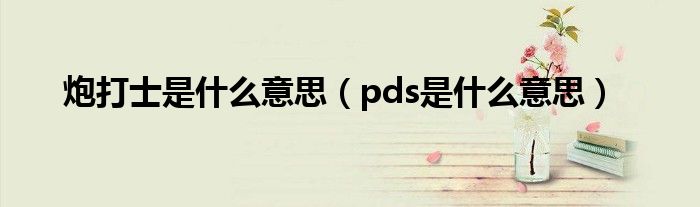 炮打士是什么意思（pds是什么意思）