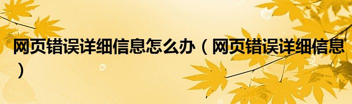 网页错误详细信息怎么办（网页错误详细信息）