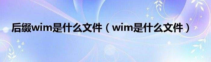 后缀wim是什么文件（wim是什么文件）