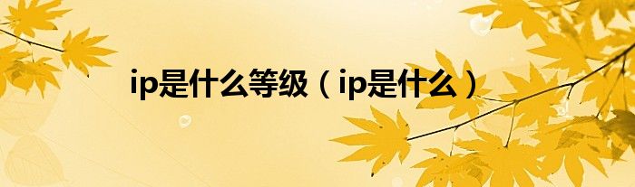 ip是什么等级（ip是什么）