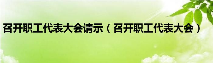 召开职工代表大会请示（召开职工代表大会）