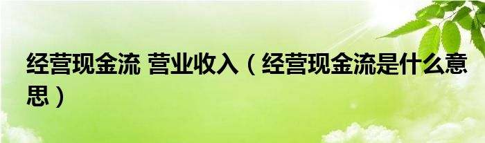 经营现金流 营业收入（经营现金流是什么意思）