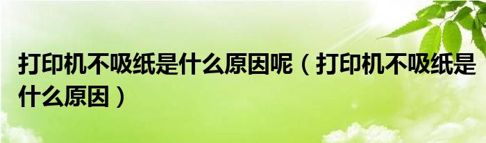 打印机不吸纸是什么原因呢（打印机不吸纸是什么原因）