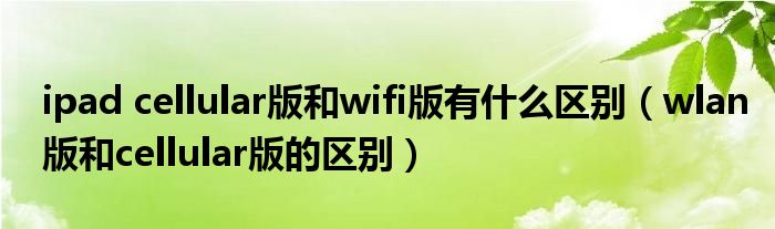 ipad cellular版和wifi版有什么区别（wlan版和cellular版的区别）