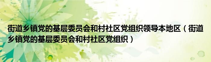 街道乡镇党的基层委员会和村社区党组织领导本地区（街道乡镇党的基层委员会和村社区党组织）