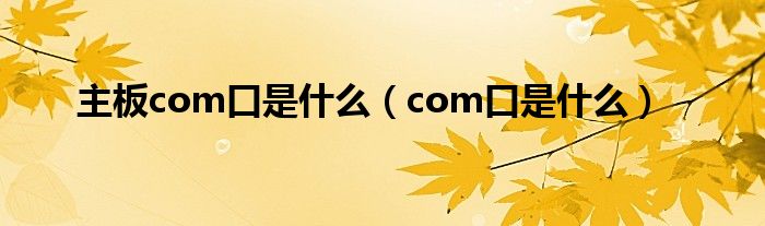 主板com口是什么（com口是什么）