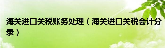 海关进口关税账务处理（海关进口关税会计分录）