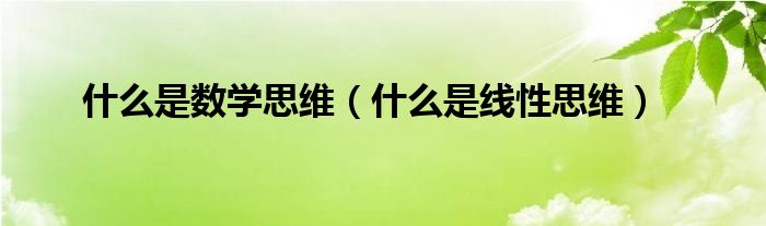 什么是数学思维（什么是线性思维）