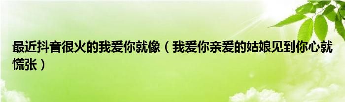 最近抖音很火的我爱你就像（我爱你亲爱的姑娘见到你心就慌张）