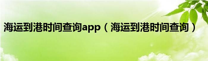 海运到港时间查询app（海运到港时间查询）