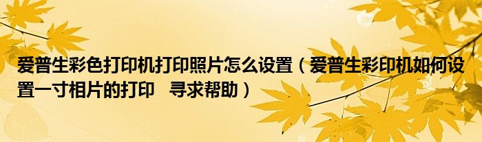 爱普生彩色打印机打印照片怎么设置（爱普生彩印机如何设置一寸相片的打印   寻求帮助）