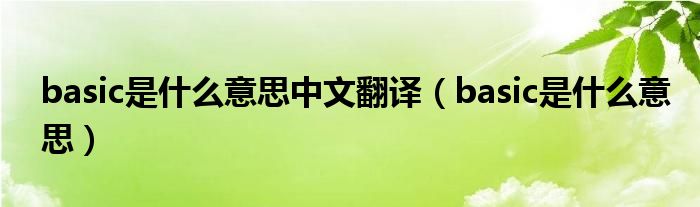 basic是什么意思中文翻译（basic是什么意思）