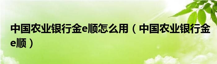 中国农业银行金e顺怎么用（中国农业银行金e顺）