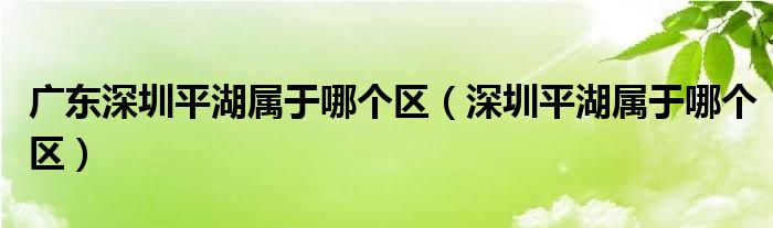 广东深圳平湖属于哪个区（深圳平湖属于哪个区）