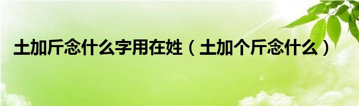 土加斤念什么字用在姓（土加个斤念什么）