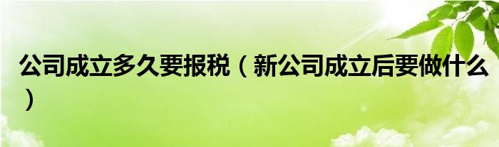 公司成立多久要报税（新公司成立后要做什么）