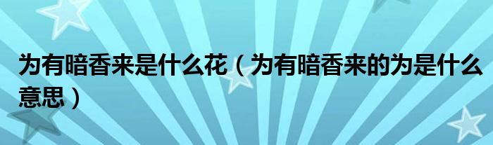 为有暗香来是什么花（为有暗香来的为是什么意思）