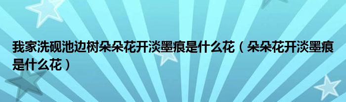 我家洗砚池边树朵朵花开淡墨痕是什么花（朵朵花开淡墨痕是什么花）