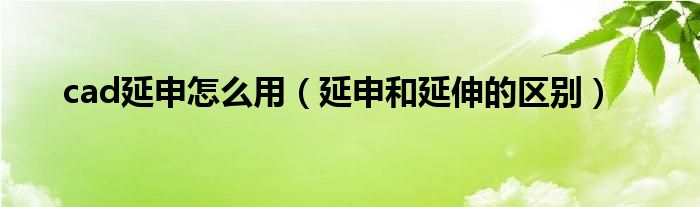 cad延申怎么用（延申和延伸的区别）