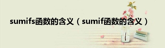 sumifs函数的含义（sumif函数的含义）