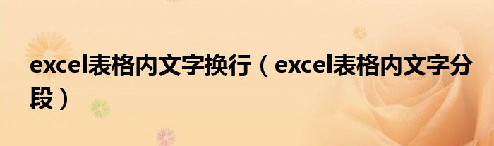 excel表格内文字换行（excel表格内文字分段）