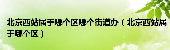 北京西站属于哪个区哪个街道办（北京西站属于哪个区）